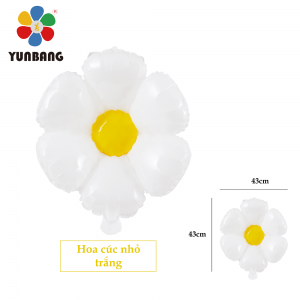 HOA CÚC NHỎ TRẮNG
